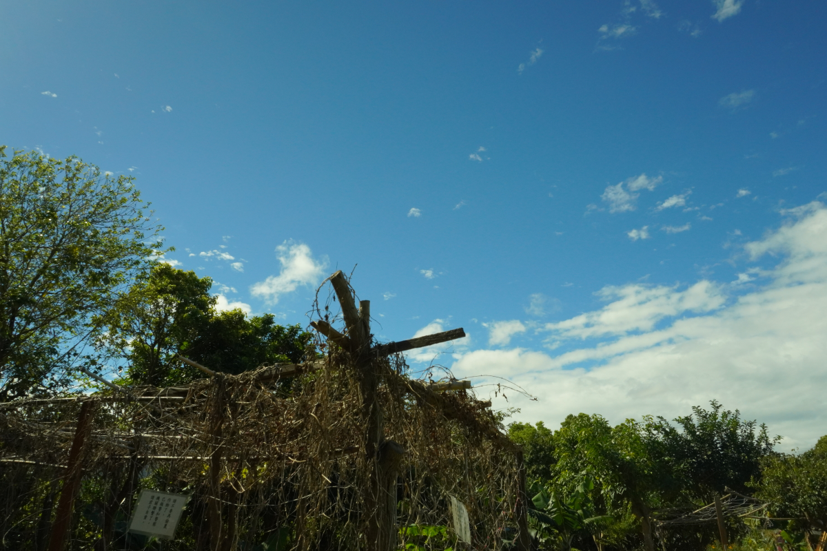 DSC00618.png